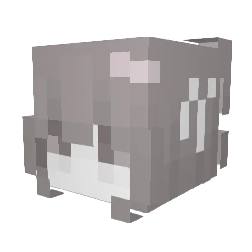 verlxrenes Minecraft avatar head, 3D render