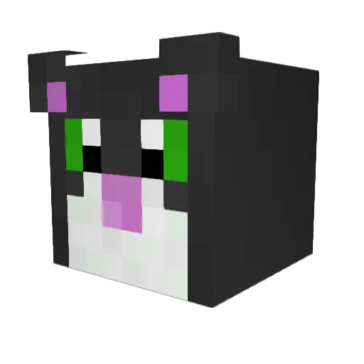 vero25 Minecraft avatar head, 3D render