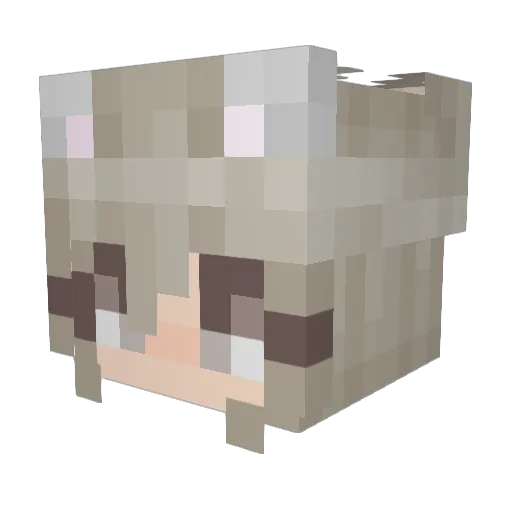 veron3788 Minecraft avatar head, 3D render
