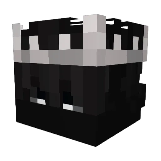 veronicagood6 Minecraft avatar head, 3D render