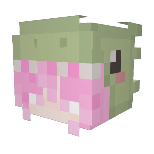 veronikaxxxxxx Minecraft avatar head, 3D render