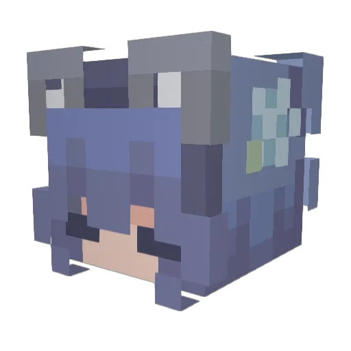 verover Minecraft avatar head, 3D render