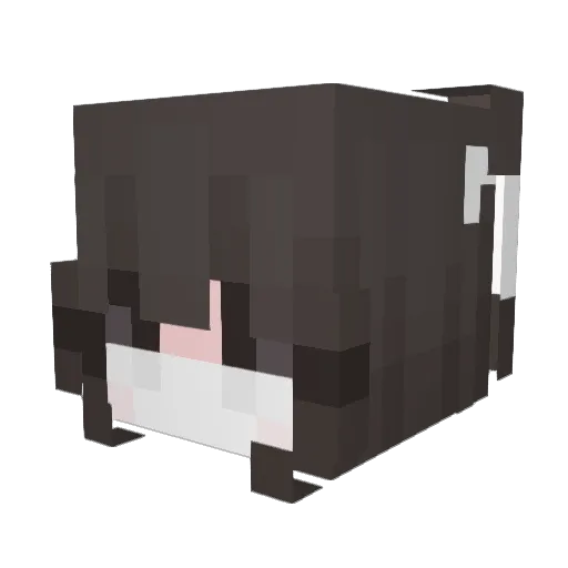 verrucia Minecraft avatar head, 3D render