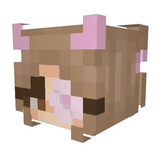 versesinvain Minecraft avatar head, 3D render