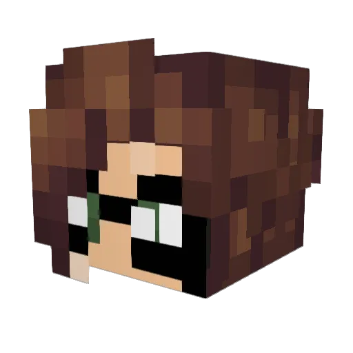 vertebraeonline Minecraft avatar head, 3D render