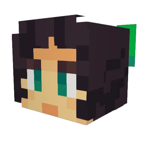 verticallity Minecraft avatar head, 3D render