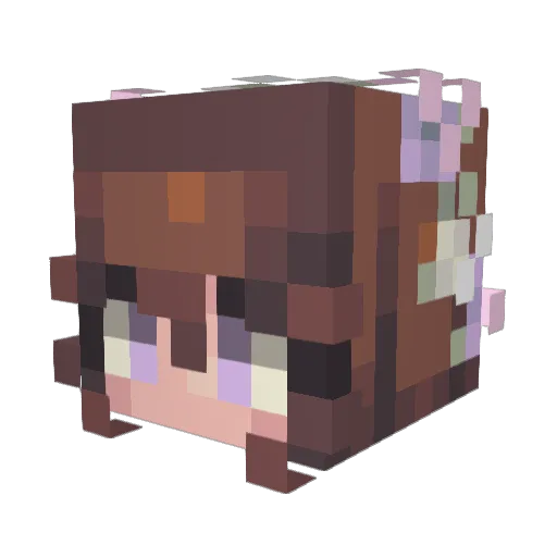 vertusus Minecraft avatar head, 3D render