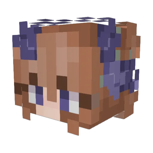 veru420 Minecraft avatar head, 3D render