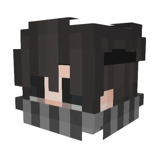 verwirrung Minecraft avatar head, 3D render