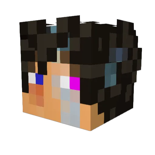 verx1234 Minecraft avatar head, 3D render