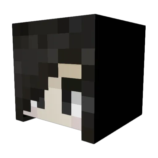 veryberrycarri Minecraft avatar head, 3D render