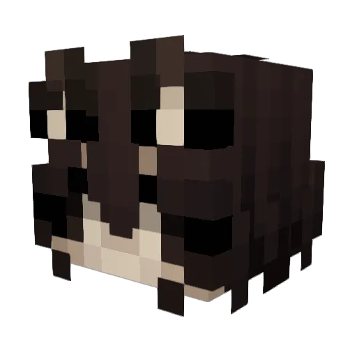 verydunce Minecraft avatar head, 3D render