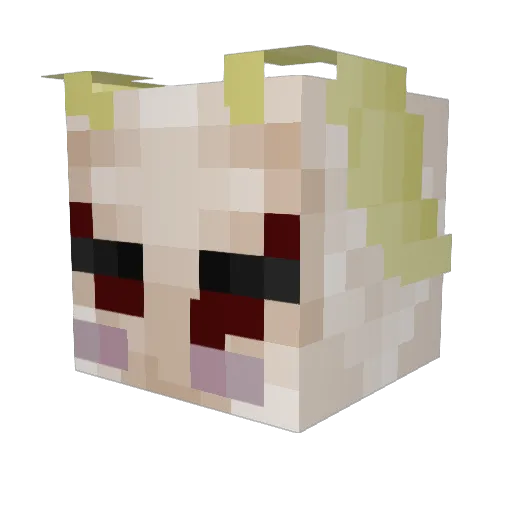 veryfawned Minecraft avatar head, 3D render