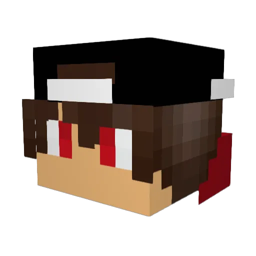 veryfishycat Minecraft avatar head, 3D render