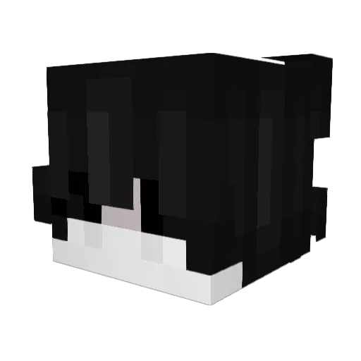 verypawsome Minecraft avatar head, 3D render