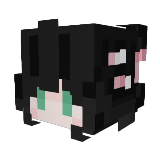 vesfr Minecraft avatar head, 3D render