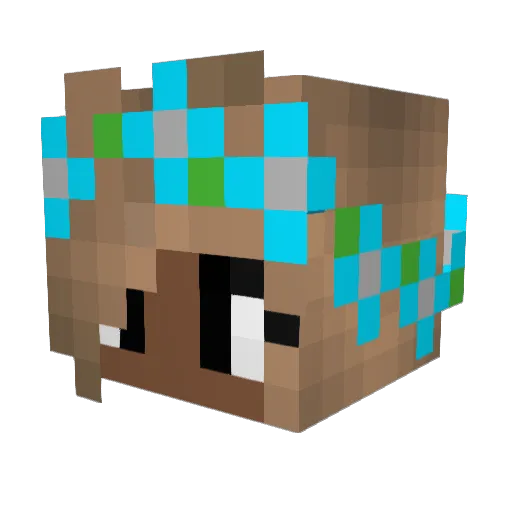 vesians Minecraft avatar head, 3D render