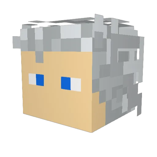veskotalisman Minecraft avatar head, 3D render