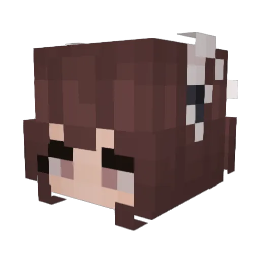 vessels1008 Minecraft avatar head, 3D render