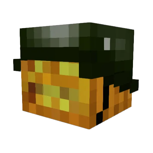 veteranpumpkin Minecraft avatar head, 3D render