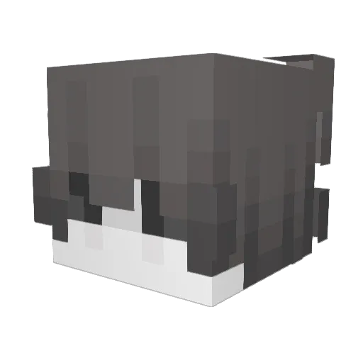 vexdcea Minecraft avatar head, 3D render