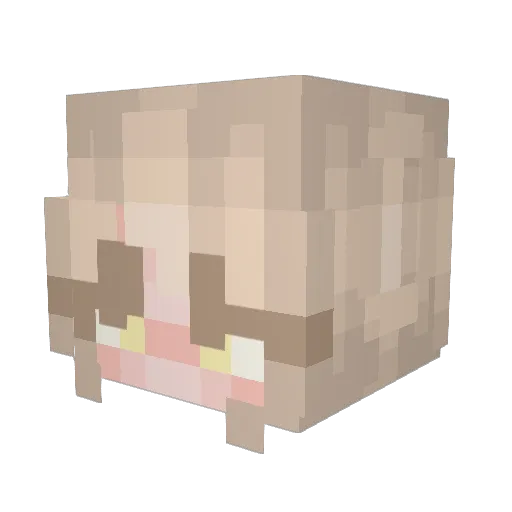 vexedcranium Minecraft avatar head, 3D render