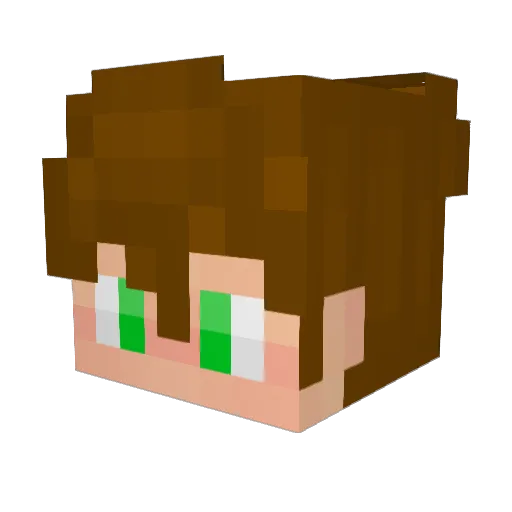 vexhis Minecraft avatar head, 3D render