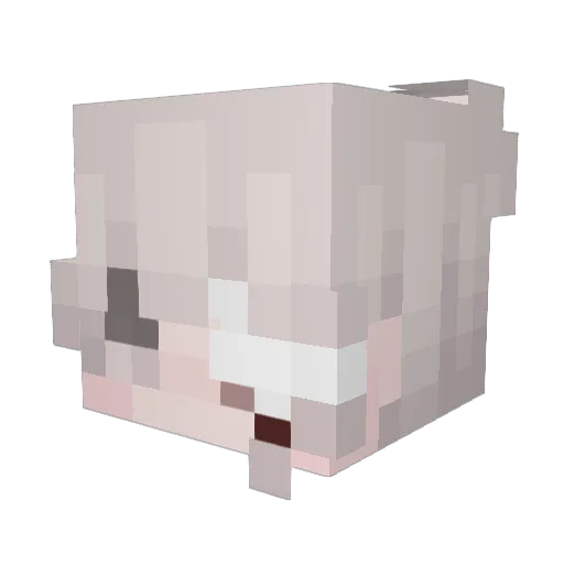 vexif Minecraft avatar head, 3D render