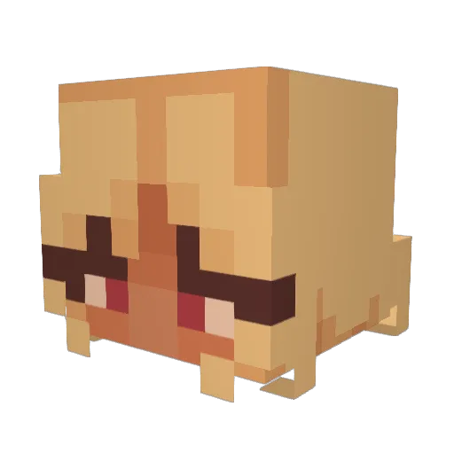 vexoxnd Minecraft avatar head, 3D render
