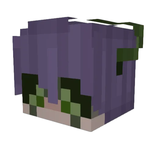 vexxiify Minecraft avatar head, 3D render