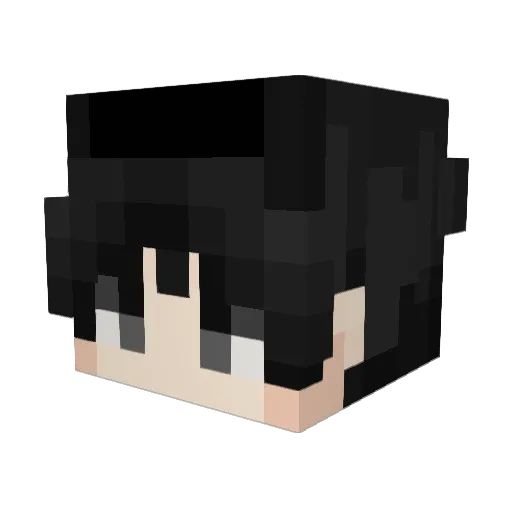 vfma Minecraft avatar head, 3D render