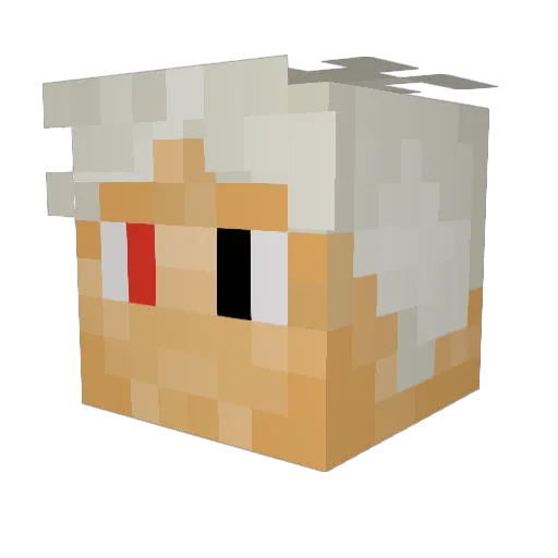 vfogking0kid Minecraft avatar head, 3D render