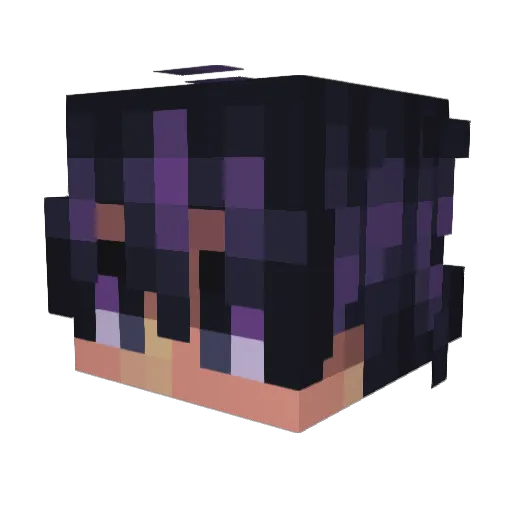 vgeri22 Minecraft avatar head, 3D render