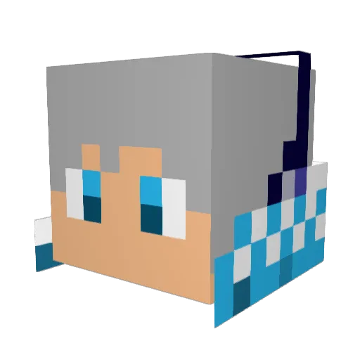 vgr555 Minecraft avatar head, 3D render