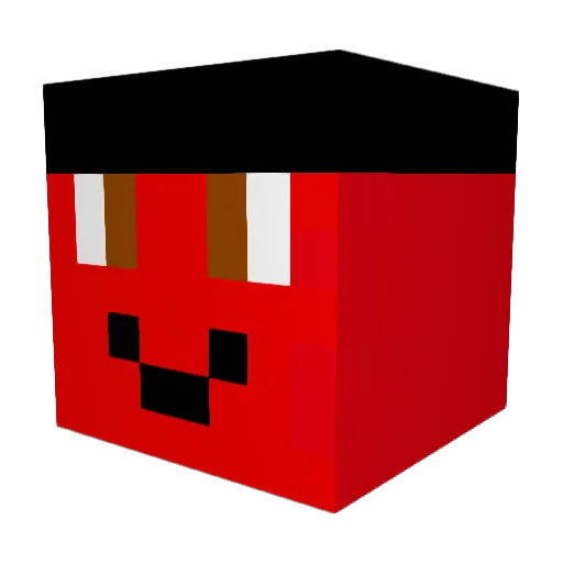 vgsvpl Minecraft avatar head, 3D render