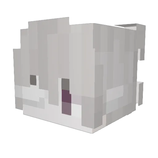 vhaie Minecraft avatar head, 3D render