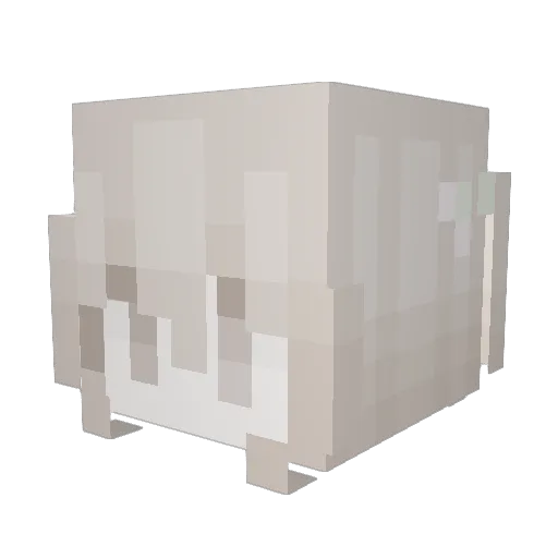 vhexl Minecraft avatar head, 3D render