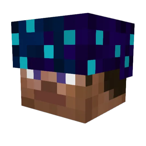 vhfu Minecraft avatar head, 3D render