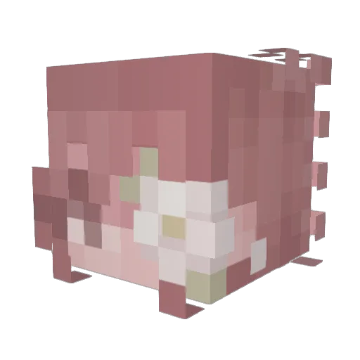 vhkh13 Minecraft avatar head, 3D render