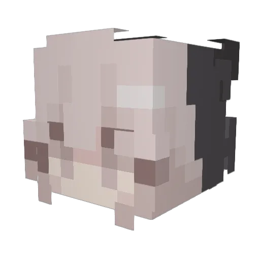 vhomit Minecraft avatar head, 3D render