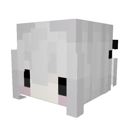 viace Minecraft avatar head, 3D render