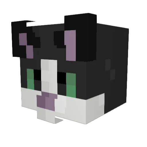 vic_wea Minecraft avatar head, 3D render