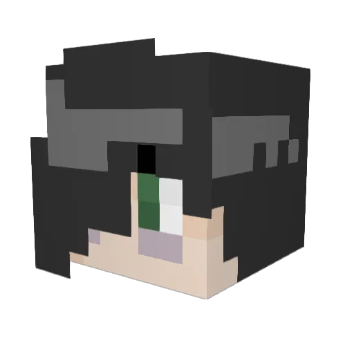 vicelover101 Minecraft avatar head, 3D render