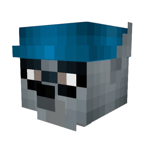 vichyveeti Minecraft avatar head, 3D render