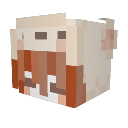 vicisan Minecraft avatar head, 3D render