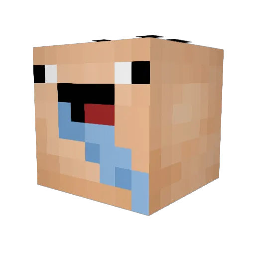 vickefrank02 Minecraft avatar head, 3D render