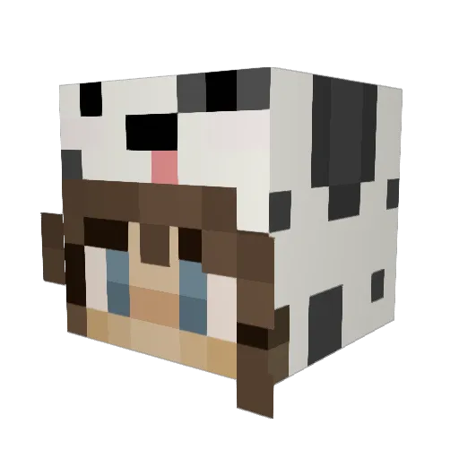 vicki212 Minecraft avatar head, 3D render