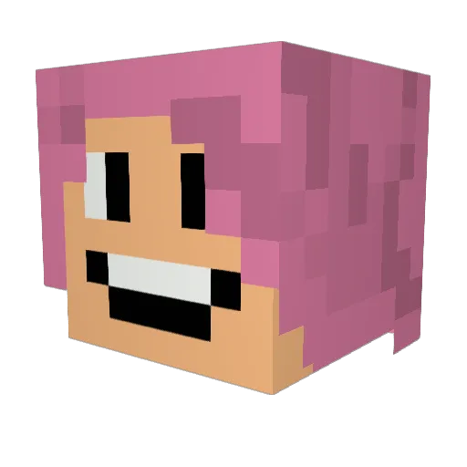 vickster1000 Minecraft avatar head, 3D render