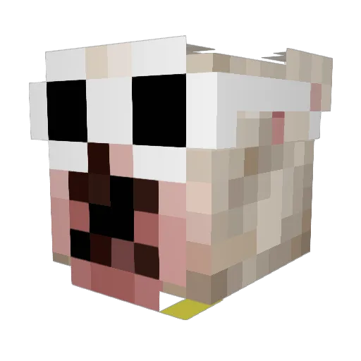 vickydwashere Minecraft avatar head, 3D render