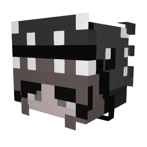 vickyswrld Minecraft avatar head, 3D render